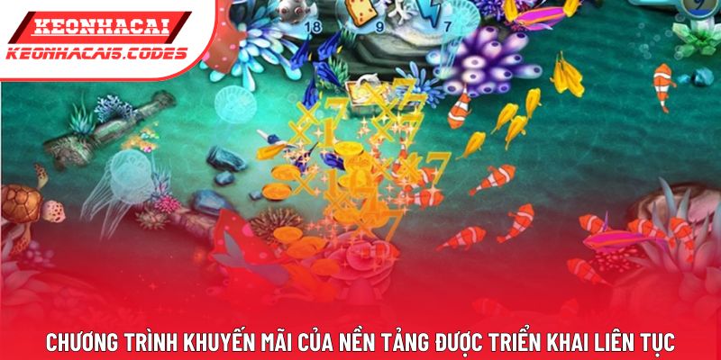 Chương trình khuyến mãi của nền tảng được triển khai liên tục Chương trình khuyến mãi của nền tảng được triển khai liên tục