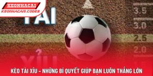 Kèo Tài Xỉu – Những Bí Quyết Giúp Bạn Luôn Thắng Lớn