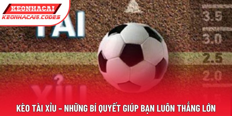 Kèo Tài Xỉu – Những Bí Quyết Giúp Bạn Luôn Thắng Lớn