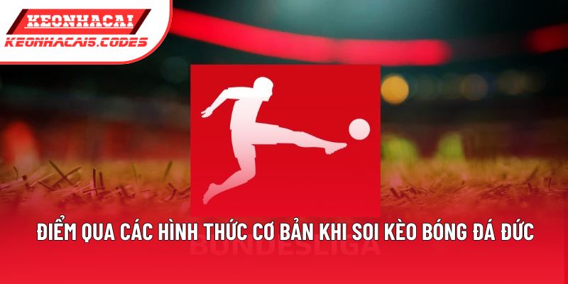Điểm qua các hình thức cơ bản khi soi kèo bóng đá Đức