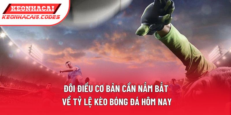 Đôi điều cơ bản cần nắm bắt về tỷ lệ kèo bóng đá hôm nay Đôi điều cơ bản cần nắm bắt về tỷ lệ kèo bóng đá hôm nay
